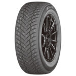 255/40R21 102T ARIVO ICE CLAW ARW7 (Studdable)